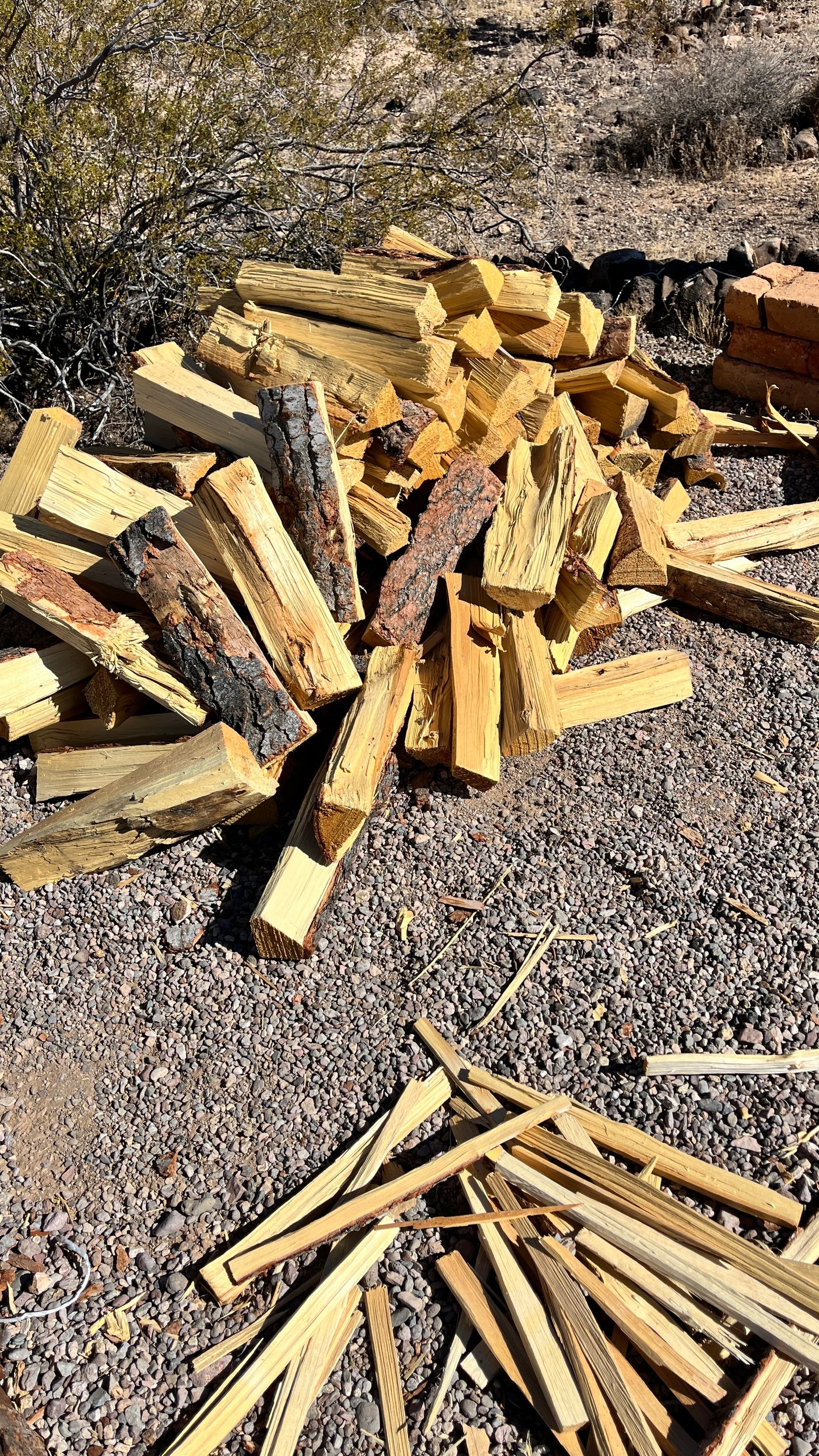 Camp Fire Firewood Bundle