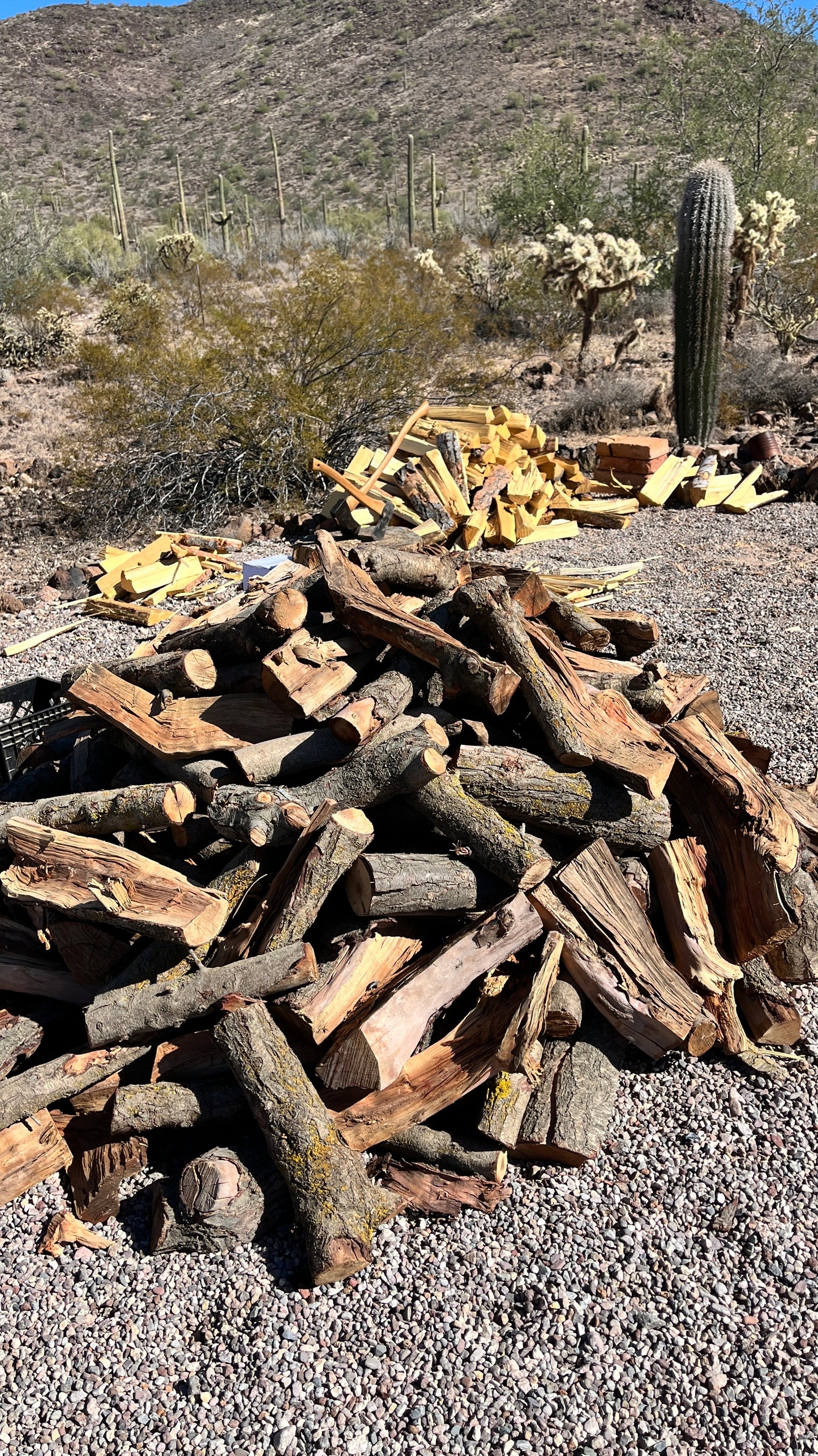 Camp Fire Firewood Bundle